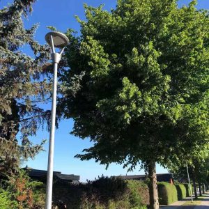 Malaysia Commercial Landscape Lighting Project