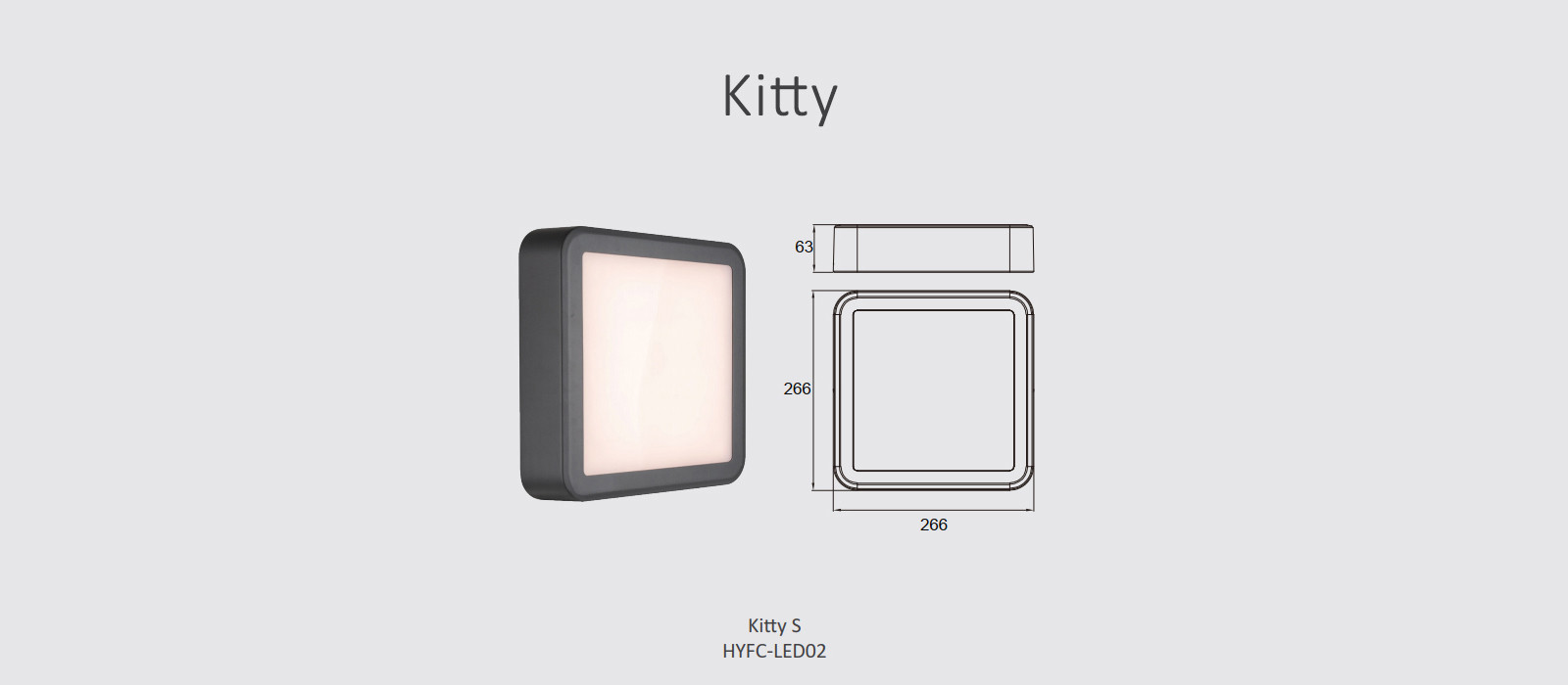 Kitty S - Outdoor - Commercial Landscape Lighting, Architectural Outdoor Lighting - Image 9