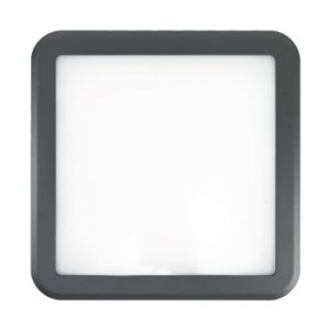 Kitty S - Outdoor - Commercial Landscape Lighting, Architectural Outdoor Lighting - Image 1