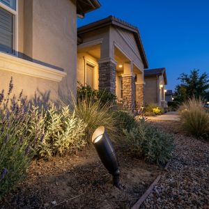 Close-up of a black brass spot light illuminating garden foliage near a house at dusk